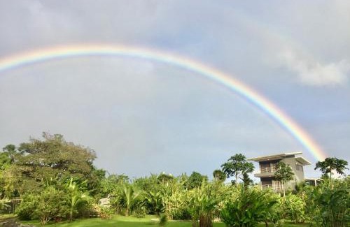 Arenal Apartamento | The Fruit Tree Garden Bromeliad Suite