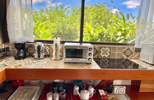 Arenal Otro | The Fruit Tree Garden Bromeliad Suite