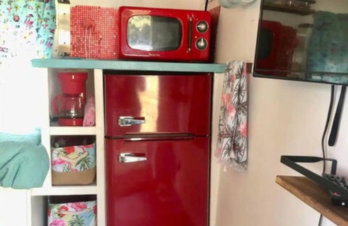 Weeki Wachee Gardens Apartamento | The Funky Flamingo - Neptune's Grotto Old Florida Adventure Retreats