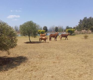 Magaliesberg Casa | The Gaia House Magaliesburg