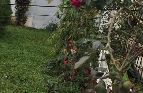 Bafang Villa | LA CASA DEL JARDÍN, PARA SU ESTANCIA DE SUEÑO
