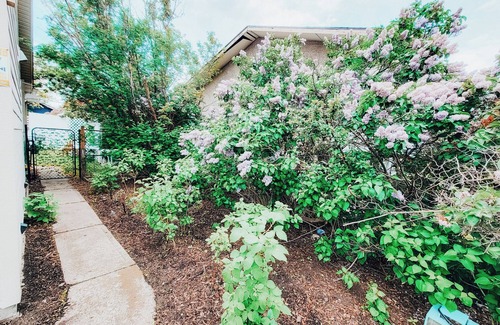 Montgomery Apartamento | The Gateway - Central House Family Yard Firepit