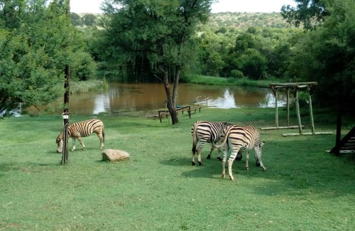 Potchefstroom Cama Y Desayuno | The Gecko Inn