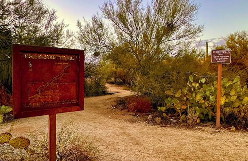 Dove Mountain Casa | The Gem of The Preserve