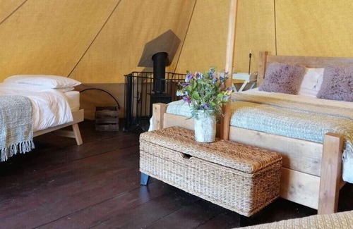 Camborne Cabina | The Glade. Luxury Bell Tent with partial sea and countryside views. Dog friendly