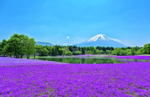 Fujikawaguchiko Hotel | The Gran Resort Princess Fujikawaguchiko