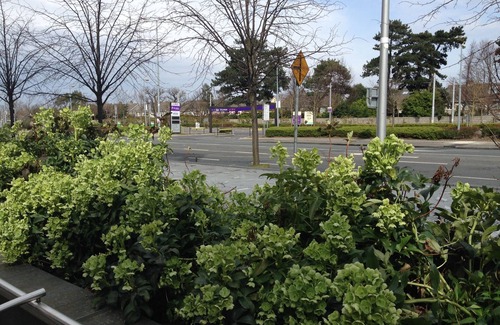 Stillorgan Apartamento | The Grange Dublin