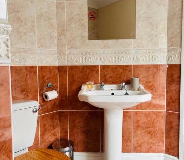 Llanwnen Hotel | The Grannell