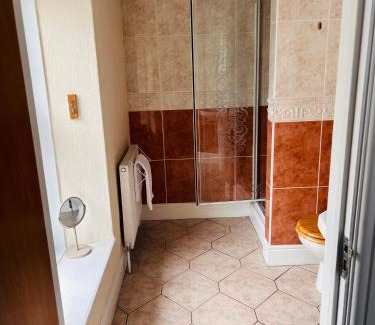 Llanwnen Hotel | The Grannell