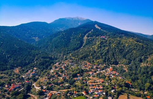 Magarevo Apartamento | The Green Apartments