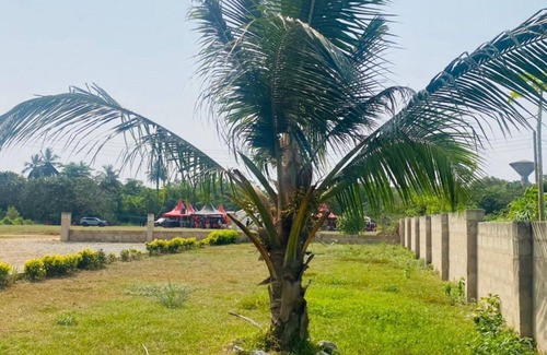 Elmina Casa | The Green Condo