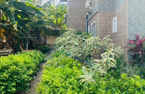 Elmina Casa | The Green Condo
