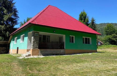 Pietroasa Casa | The Green House - Apuseni Mountains