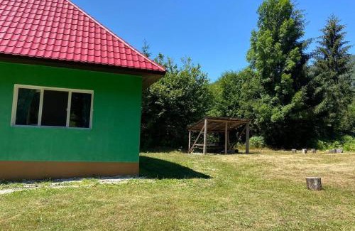 Pietroasa Casa | The Green House - Apuseni Mountains