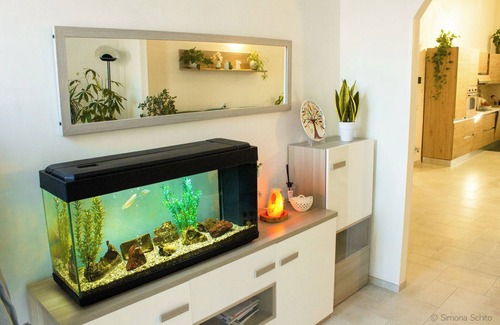 Serrano Apartamento | The Green House - Suite with Garden view