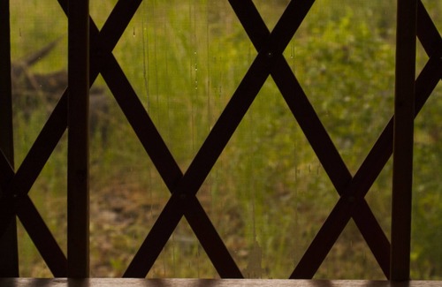 Paonia Cabina | The Grove Yurt es una situación de vida primitiva directamente en el río