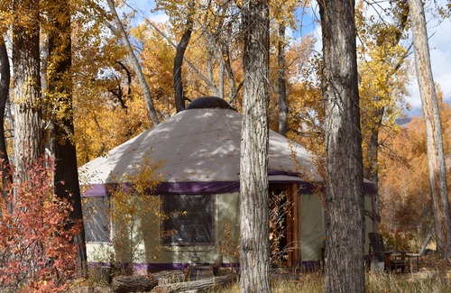 Paonia Cabina | The Grove Yurt es una situación de vida primitiva directamente en el río