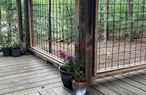 Leesville Otro | The Happy Place In The Trees