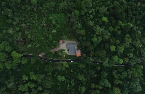 Virarajendrapet Villa | The Haven Grandeur - Embrace the Green, Find Your Peace