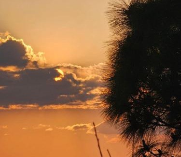 Almora Casa | The Heavens