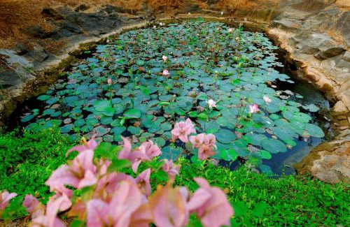 Chittur Casa | The Hidden Pearl Palakkad by Chakolas Hospitality