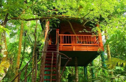 Ahangama Cabina | The Hidden Treehouse