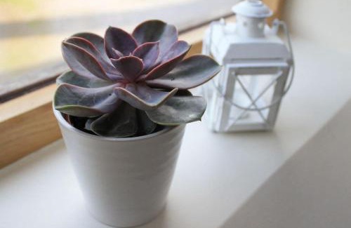 Atherington Apartamento | The Hide at Lemons Farm