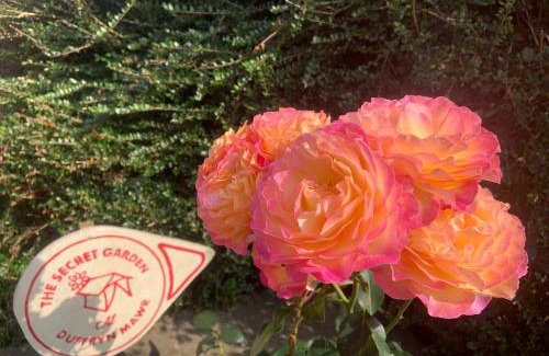 Cowbridge Chalet De Esquí | The Hideaway at Duffryn Mawr Self Catering Cottages
