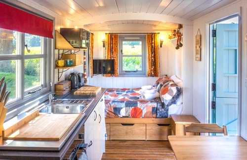 Whitestone Apartamento | The Hideaway Hut - 1 Bed Shepherds Hut - Dodmarsh