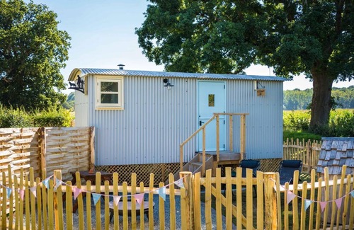 Whitestone Apartamento | The Hideaway Hut - 1 Bed Shepherds Hut - Dodmarsh