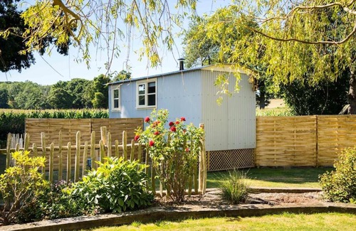 Whitestone Chalet De Esquí | The Hideaway Hut - 1 Bed Shepherds Hut - Dodmarsh