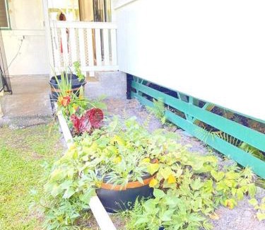 Hilo Casa | THE HILO HOMEBASE - Charming 3 Bedroom Hilo Home, with AC!