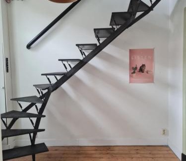 Stratum Casa | the home of the gnome
