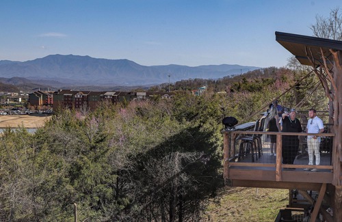 Sevierville Cabina | 🐝The Honey Hole Luxury Treehouse In The Smokies🍯