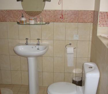 Rhayader Casa | The Horseshoe Guesthouse