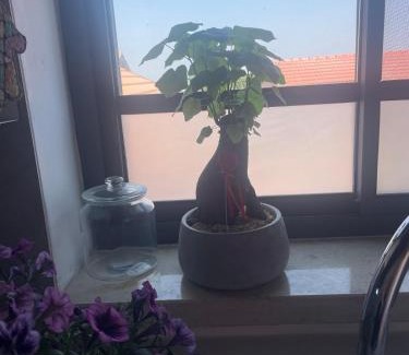 Yodfat Apartamento | The house in Shiloah