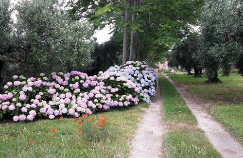 Gizzeria Casa | La casa de Gilda b & b