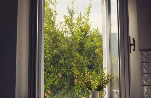 Montegiardino Casa | The House of Montegiardino