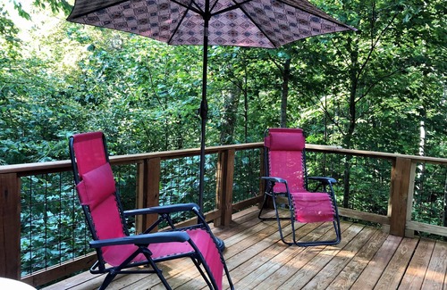 Hayesville Cabaña | The Hummingbird Hideaway in Shooting Creek. Pet Friendly!