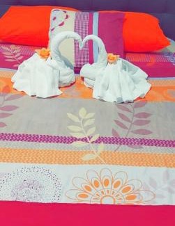Baillif Casa | THE ISLAND PARADISE
