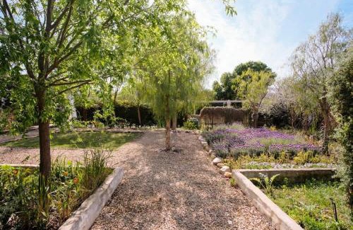 McGregor Apartamento | The Ivy Studio