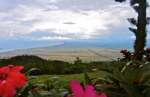 Gurun Complejo | The Jerai Hill Resort