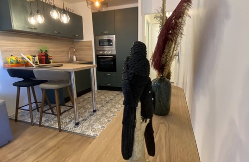 Blagnac Apartamento | Le Jungle : T2 avec Jardin et Jacuzzi