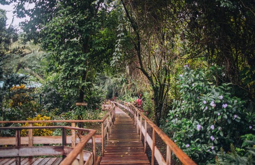 Good Living Camp Casa | Cabana de Rainforest privado - impuestos de hotel incluidos!