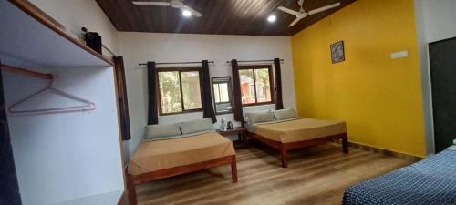 Amba Complejo | The Jungle Resort Amba