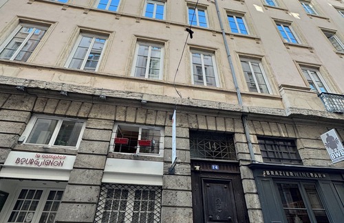 Griffon - Royale Apartamento | The Jungle - Superbe appartement au coeur de Lyon !