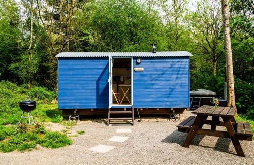 Acton Scott Cabina | The Kingfisher Shepherd's Hut