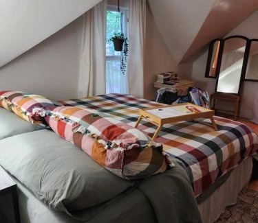 Wisconsin Rapids Cama Y Desayuno | The Landerholm Bed and Breakfast