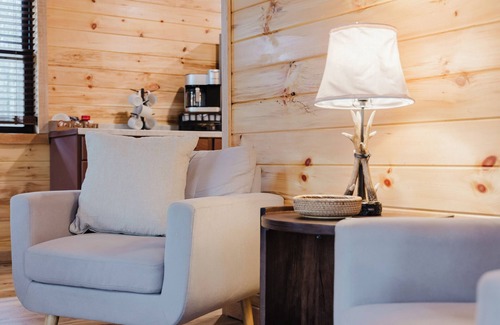 Saint Helens Cabina | The Lazy Maple in RRG - Fire pit/ hot tub/ arcade/wifi