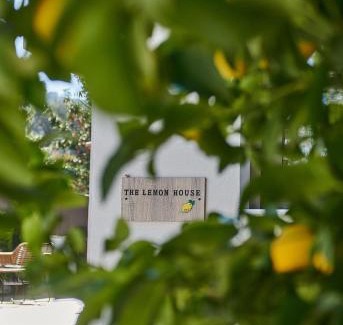 Spata-Artemida Complejo | The lemon house